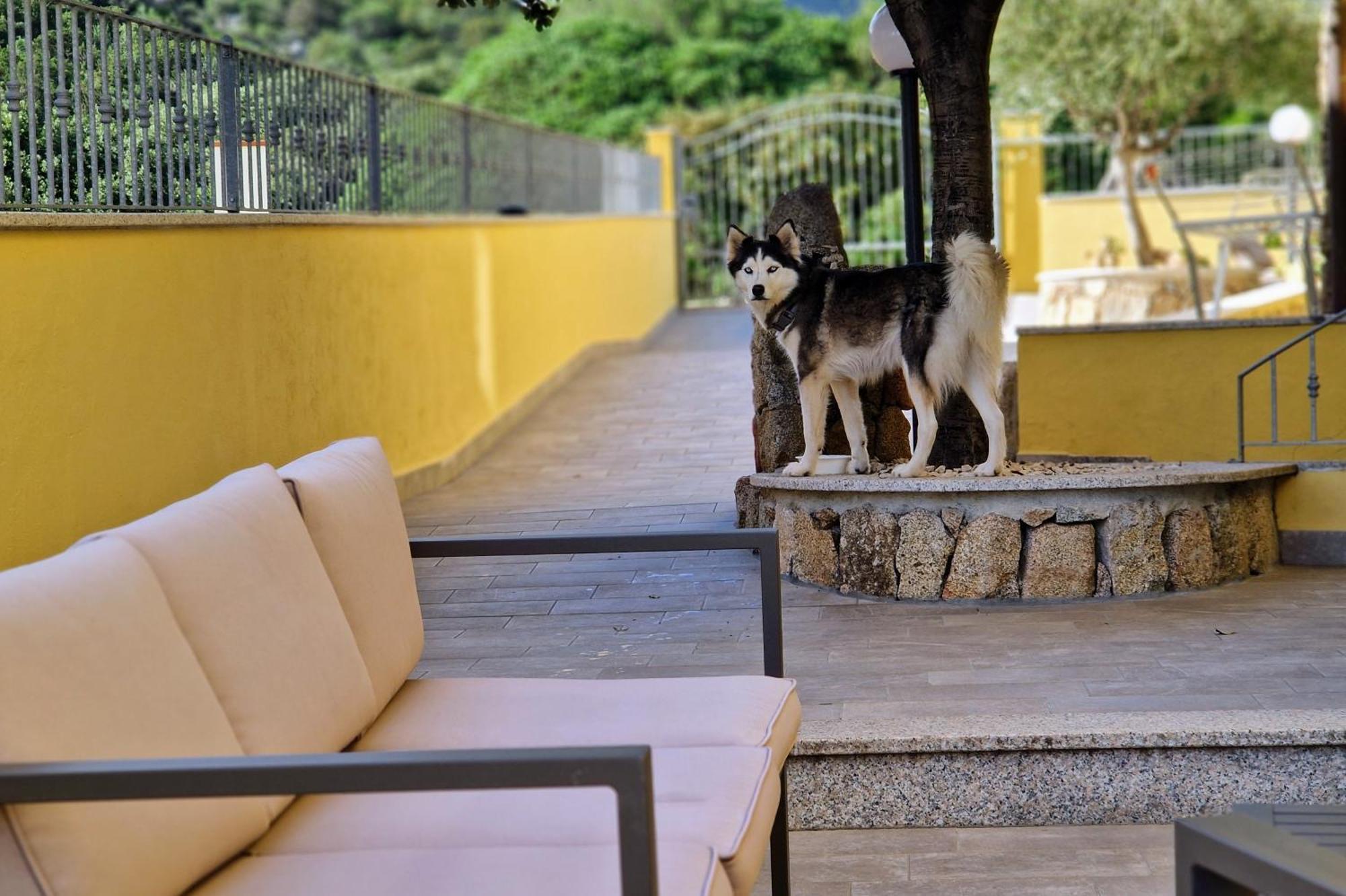 Sa Mamma E Sole B&B Cala Gonone Ngoại thất bức ảnh